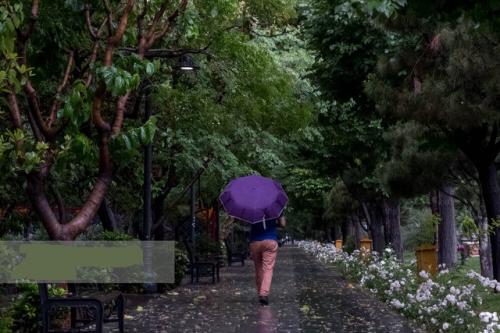 چشم شیراز به جمال باران روشن شد