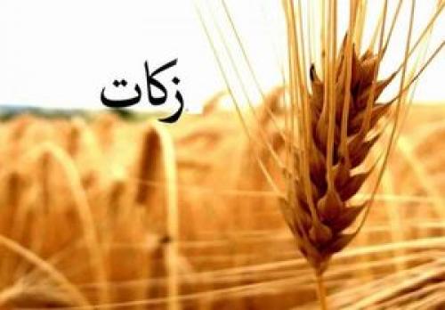 افزایش ۹۰ درصدی پرداخت زکات در یک استان نشانه چیست!؟ 