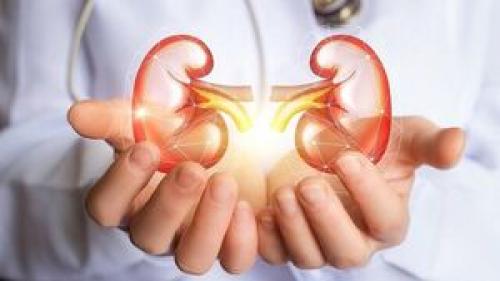  مهار بیماری مزمن کلیه با کمک داروی دیابت