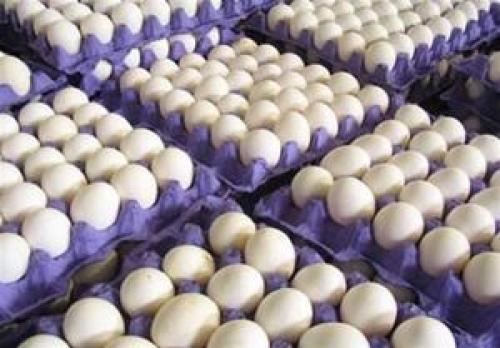  ۳ کانتینر تخم‌مرغ وارداتی از ترکیه به خاطر مسائل بهداشتی ضبط شد +سند