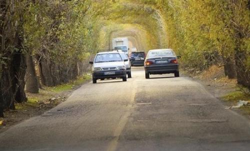 عکس/ خیابان رویایی در جنوب تهران