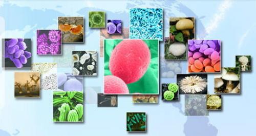 تسهیلات ویژه مرکز ملی ذخایر ژنتیکی برای اهداکنندگان نمونه‌های زیستی