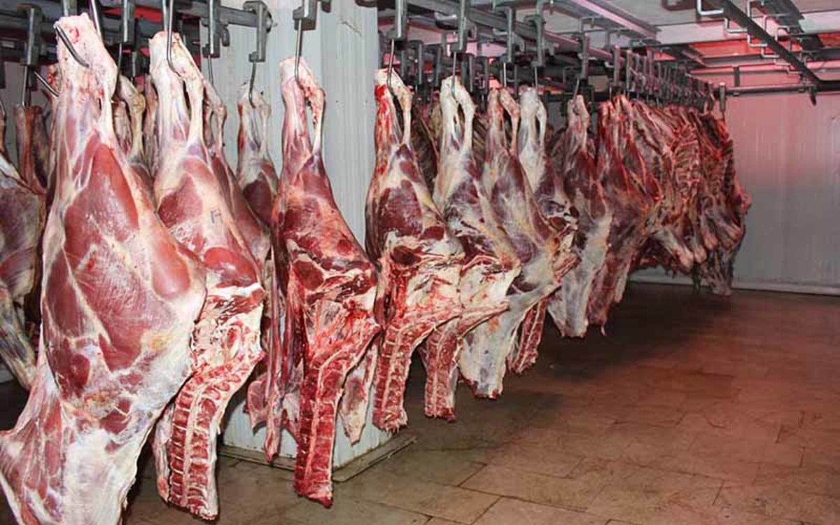  قیمت واقعی گوشت اعلام شد
