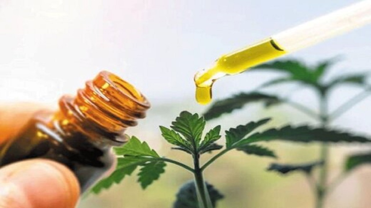  نقش گیاهان دارویی بر سلامت بدن