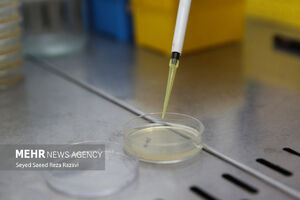  تولید واکسن ایرانی «mRNA» علیه کرونا