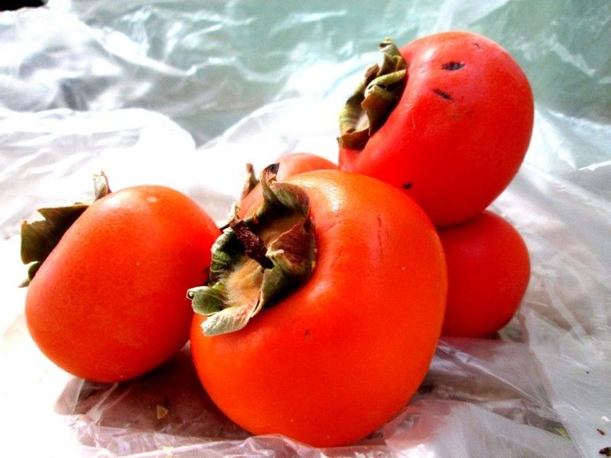 اینفوگرافیک/ خواص خرمالو