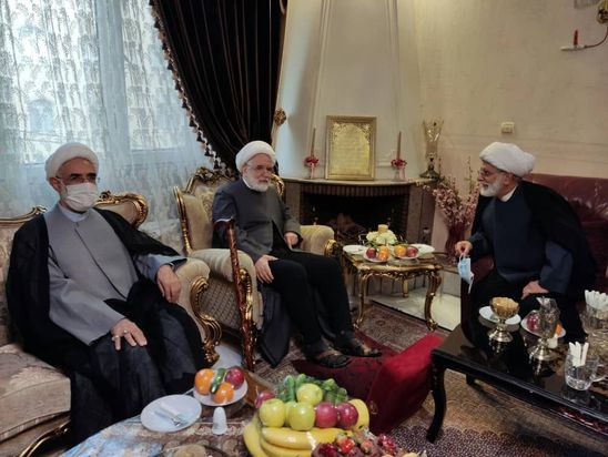 دیدار مهدی کروبی با منتجب نیا +تصاویر 