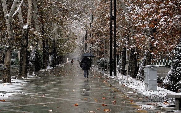  باران و برف در بسیاری از شهر‌های کشور