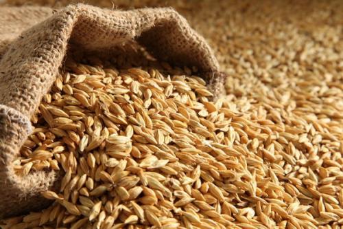  پاسخ شرکت پشتیبانی امور دام به موضوع جوانه زدن جوهای وارداتی