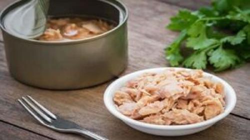 قیمت انواع تُن ماهی