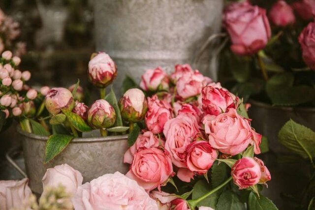  هر شاخه گل برای روز مادر چند؟