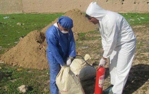  آنفلوآنزای فوق حاد پرندگان در گتوند