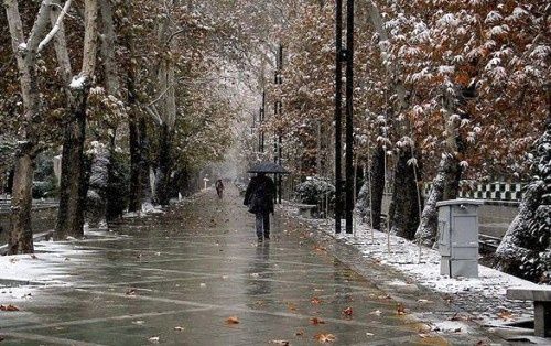 آغاز بارش برف در تهران
