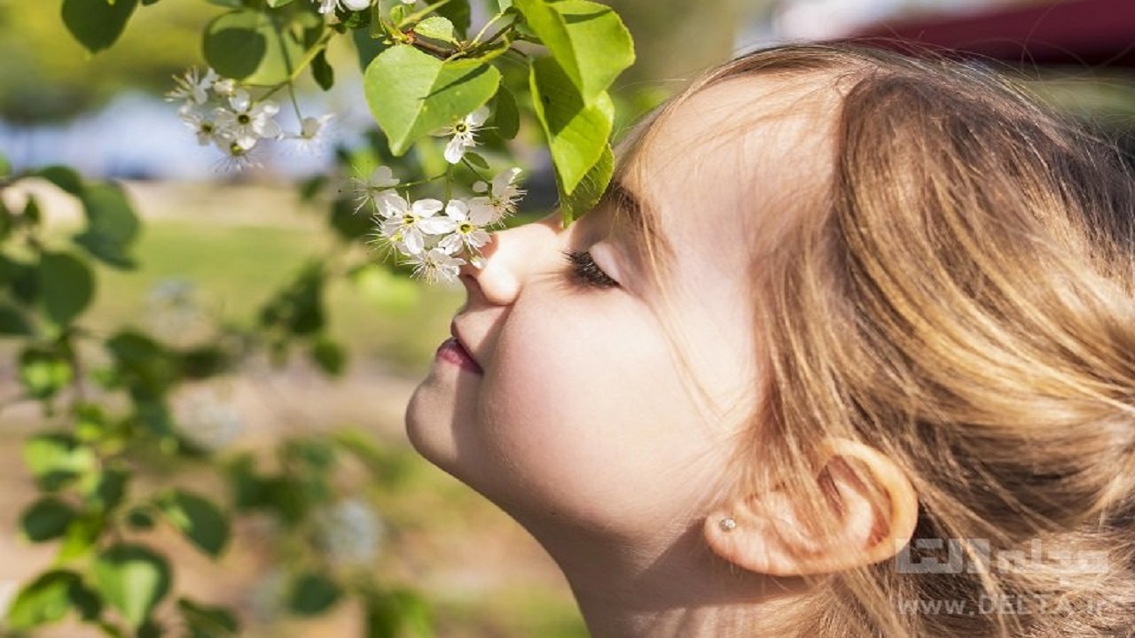  با حس بویایی خداحافظی کنیم؟