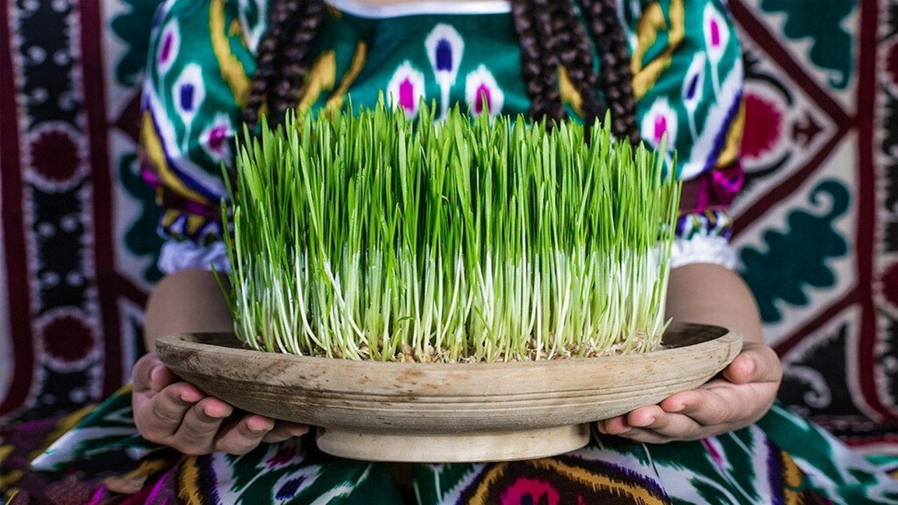  کاشت سبزه عید نوروز با انواع دانه  