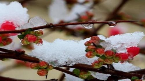  آیا اسفند شرایط آب‌وهوایی به هم می‌ریزد؟