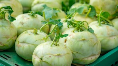  کلم قمری، داروی گیاهی بی خوابی