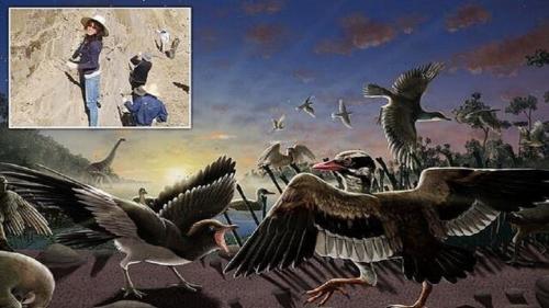  آشنایی با پرنده باستانی با چانه متحرک!