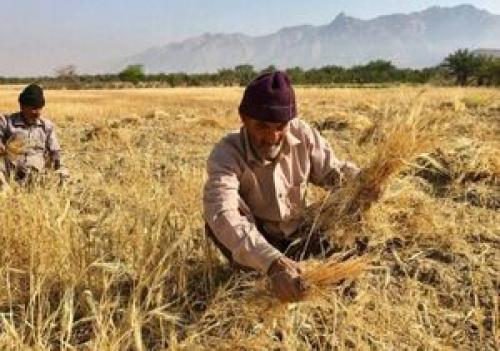  مصوبه مجلس برای حمایت از کشاورزان و تولیدکنندگان
