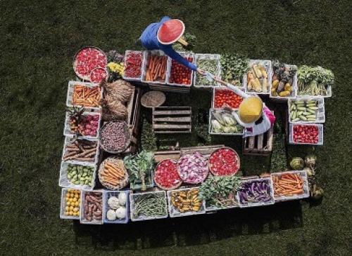    بازار رنگ‌ها و طعم‌ها