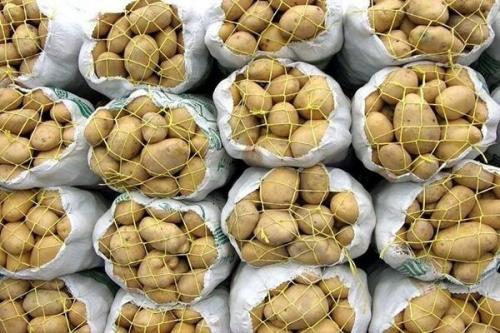  ماجرای احتکار سیب‌زمینی در مخفیگاه‌ها