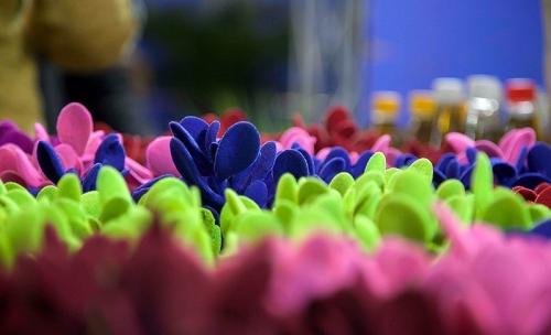  نمایشگاه گل و گیاه در استانه شب عید 