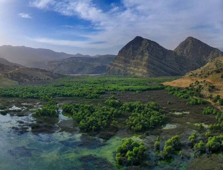 عکس/ تالابی زیبا در خوزستان