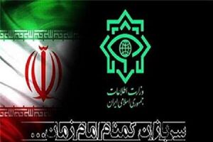  جاعل مناصب دولتی و نمایندگان مجلس دستگیر شد