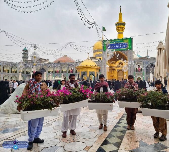 عکس/ حرم امام رضا(ع) در آستانه سال نو