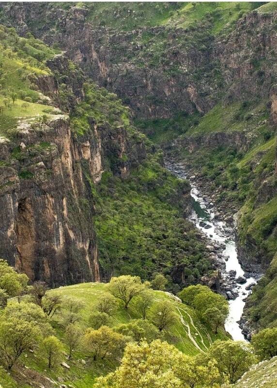 عکس/ طبیعت تماشایی پاوه