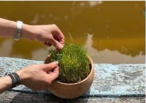 سیزده بدر" در سفارت آلمان در تهران