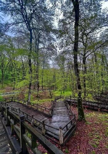 عکس/ طبیعت زیبای پارک جنگلی النگدره