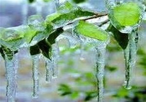  کاهش ۱۲ درجه‌ای دما در برخی استان‌ها