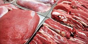  عرضه گوشت دولتی منجمد با قیمت جدید از امروز