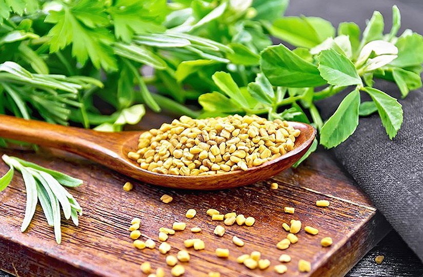  خواص و مضرات تخم شنبلیله چیست؟