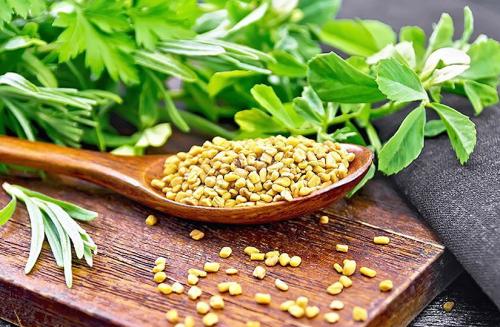  خواص و مضرات تخم شنبلیله چیست؟