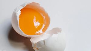 مضرات خوردن تخم مرغ خام 