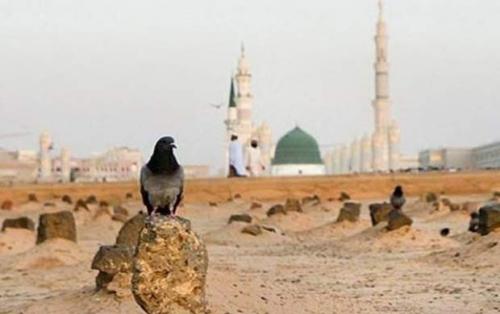اذکار روی نگین انگشتر امام مجتبی(ع)