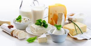  لبنیات گران نمی‌شود