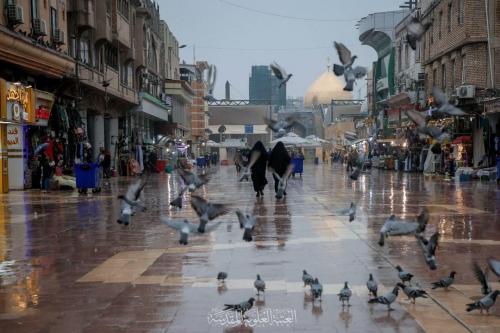  تصاویر زیبا از نزول رحمت الهی در حرم علوی