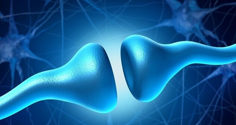 چرا بی‌تفاوتی اولین علامت آلزایمر است؟