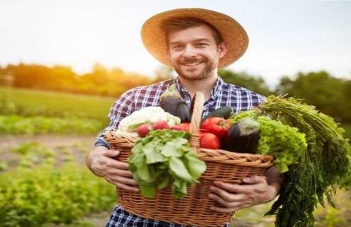 هشدار در مورد باکتری‌های خطرناک در سبزیجات ارگانیک 