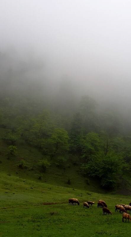 تصویری رویایی از سوادکوه