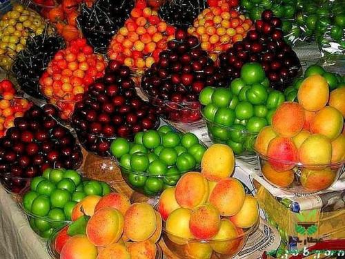  فروش میوه های نوبرانه به قیمت های لاکچری!