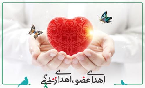 آیا اهدای عضو دست بردن در کار خداست؟