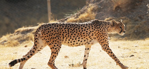  خبر امیدوارکننده درباره «ایران»