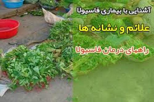 بیماری فاسیولا چیست و تا چند روز نهفته می ماند؟ 