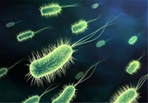  پای "وبا" به تهران باز می‌شود؟