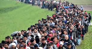  اینفوگرافیک / روایت اعداد از پناهجویان جهان