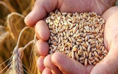 شکار بزرگ سازمان اطلاعات سپاه در ‌اصفهان